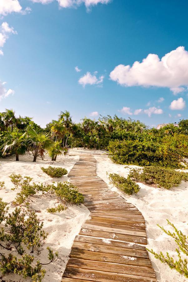 The Shore Club Turks & Caicos Teluk Grace Luaran gambar